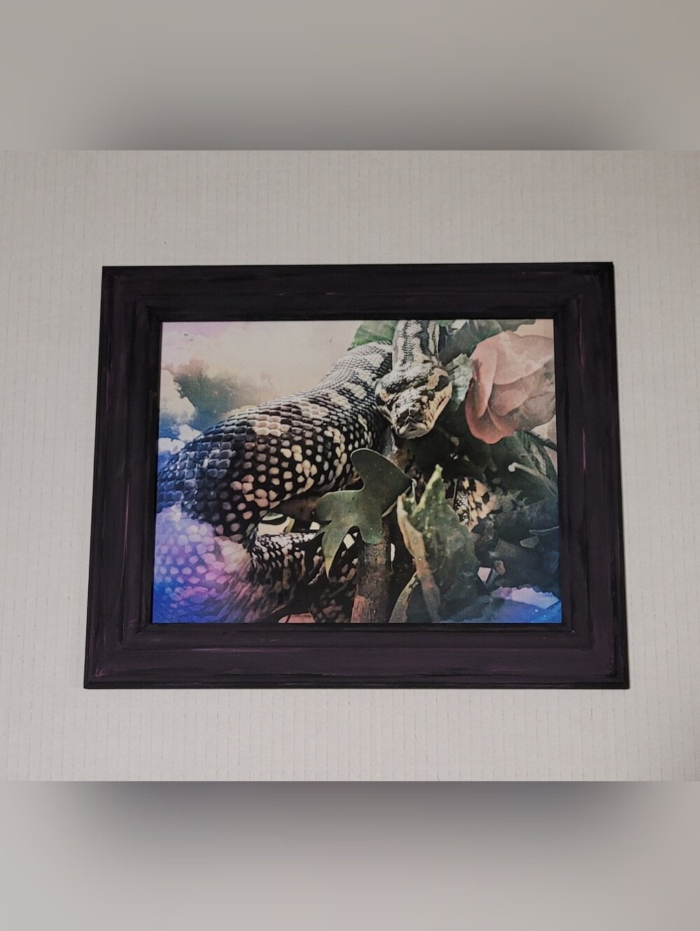 10x12 Carpet Python Framed Photograohy Gothic Art Print